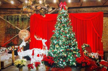 How To Pick The Perfect Christmas Tree For Your Space