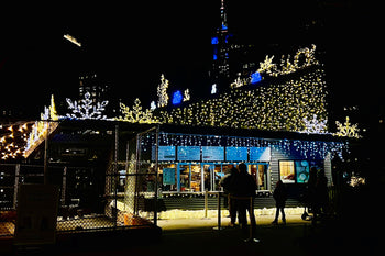 Shake Shack Gets Frozen Transformation For The Holidays