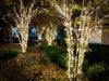 A garden path lit up for the season