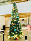 A tree set up inside