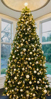 A Christmas tree set up at home