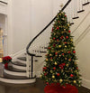 An elegant tree in an elegant entryway