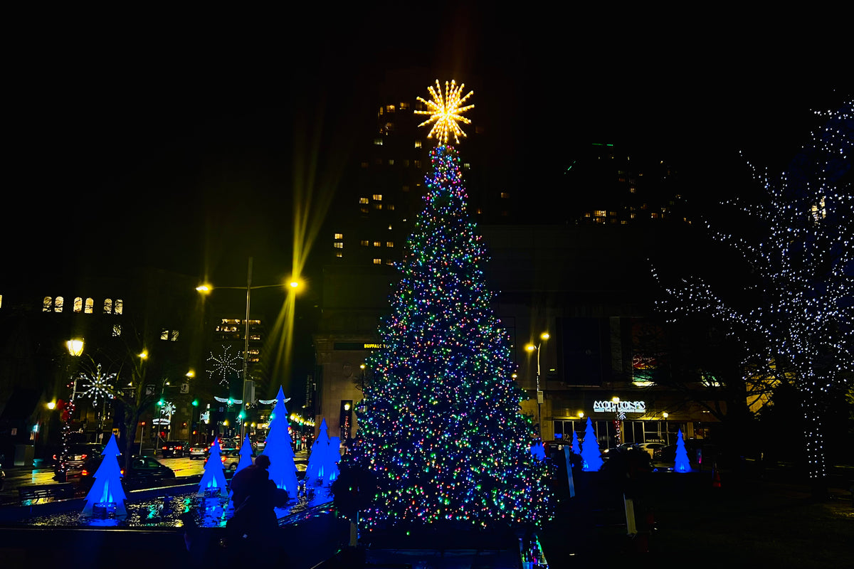 Commercial Christmas Tree on display in Municipality of White Plains, NY 