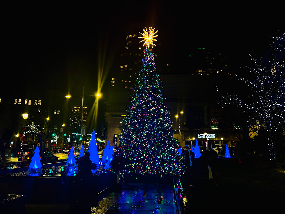 Commercial Christmas Tree on display in Municipality of White Plains, NY 